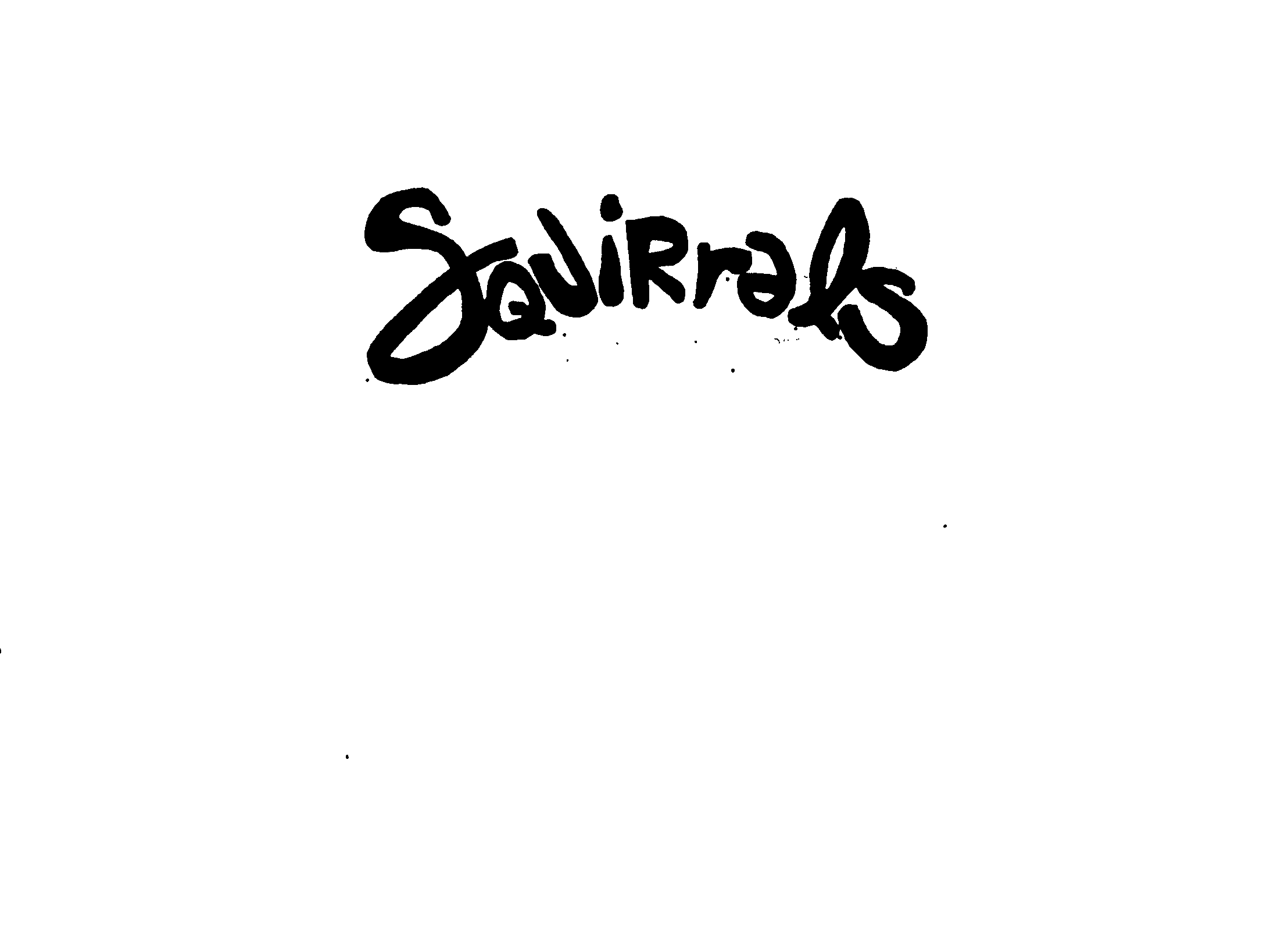 Trademark Logo SQUIRRELS