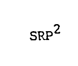 Trademark Logo SRP2