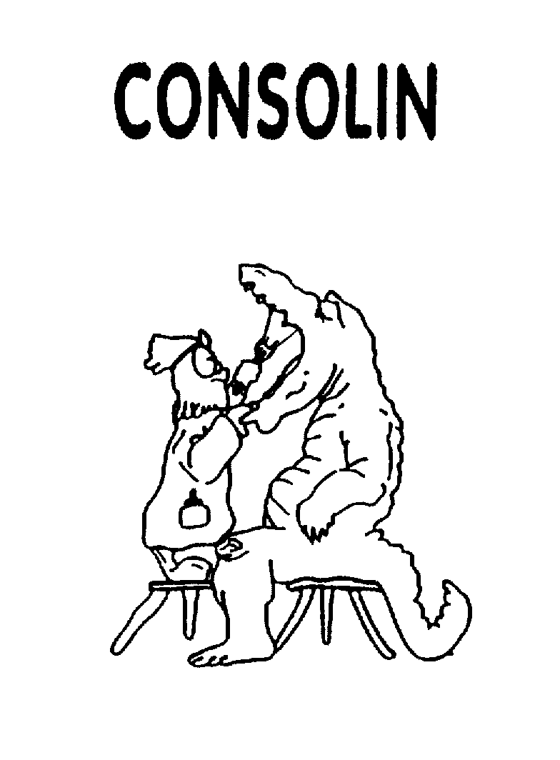 Trademark Logo CONSOLIN