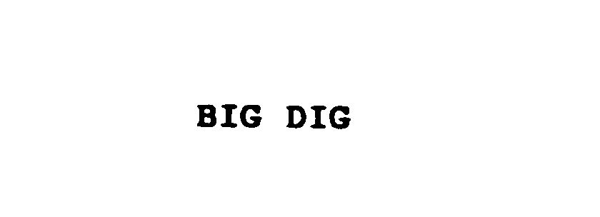 Trademark Logo BIG DIG