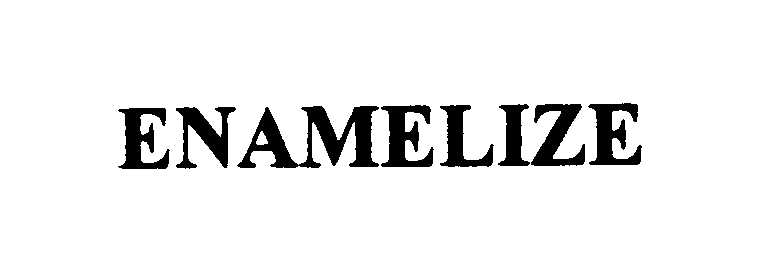 Trademark Logo ENAMELIZE