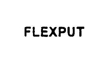 Trademark Logo FLEXPUT