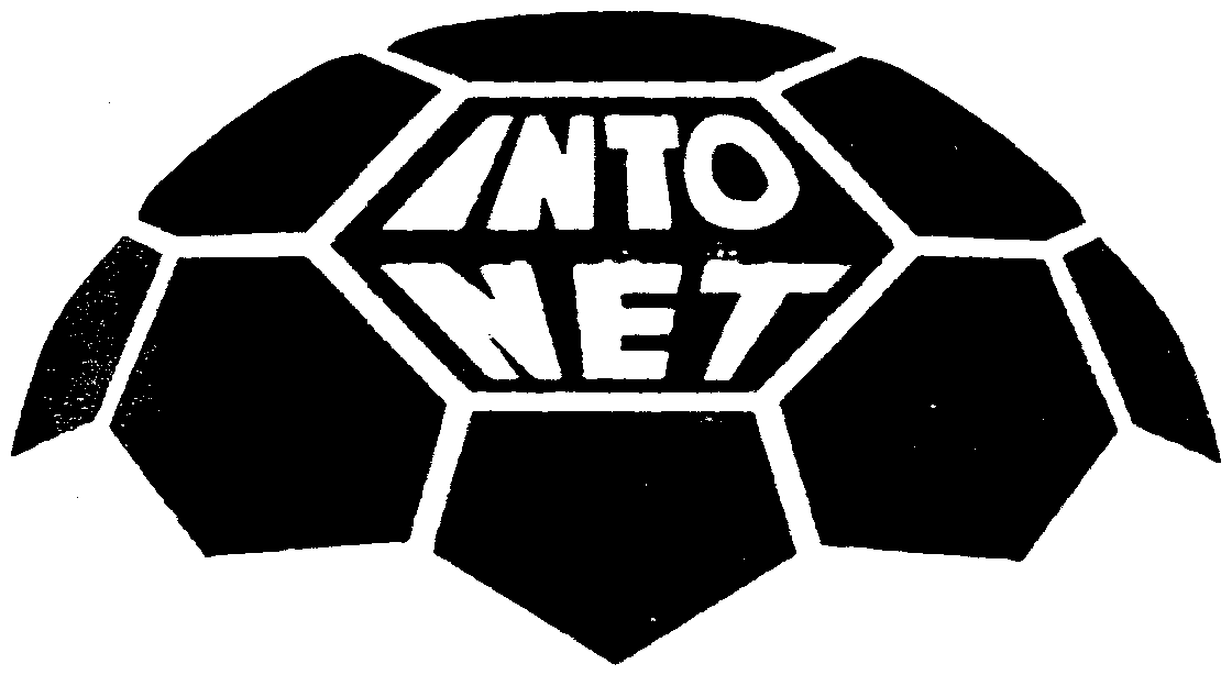 Trademark Logo INTO THE NET