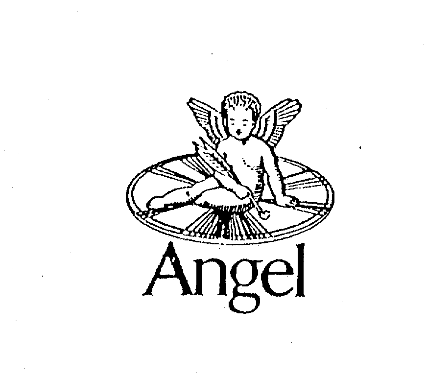  ANGEL