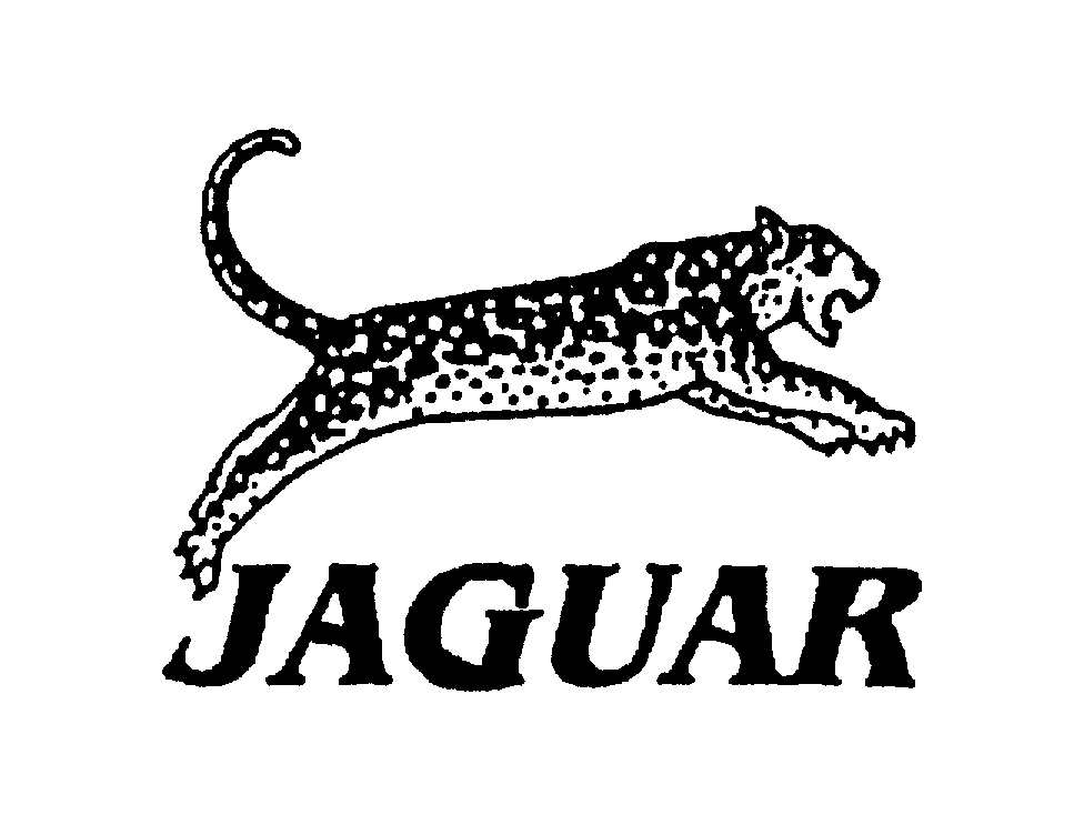  JAGUAR