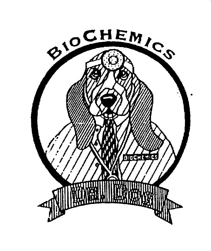  BIOCHEMICS DR. DOG