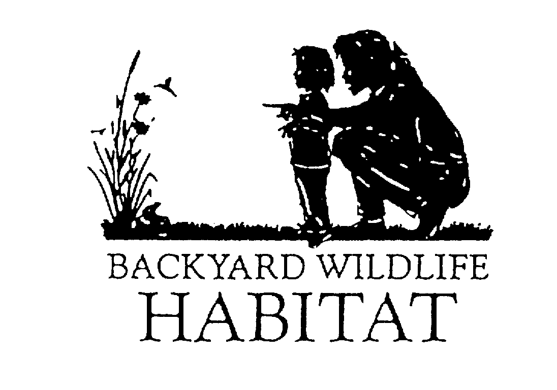  BACKYARD WILDLIFE HABITAT