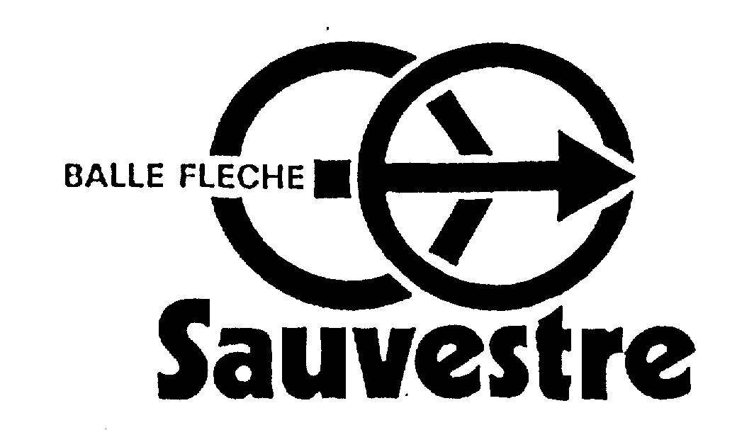  BALLE FLECHE SAUVESTRE