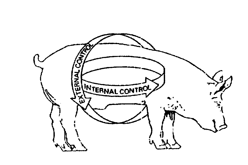 Trademark Logo EXTERNAL CONTROL INTERNAL CONTROL