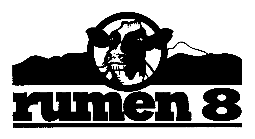  RUMEN 8