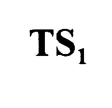 TS1