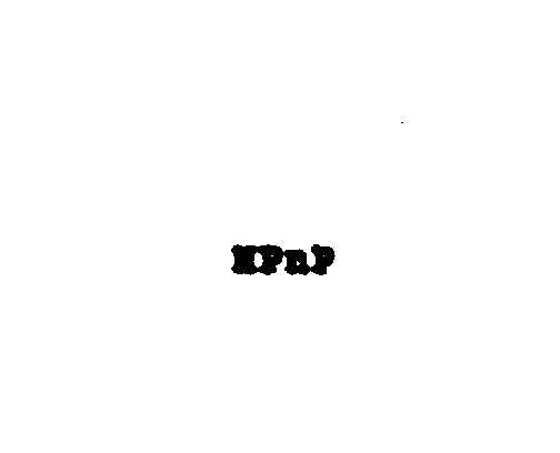 Trademark Logo HPNP