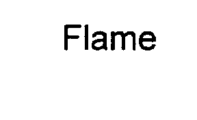  FLAME