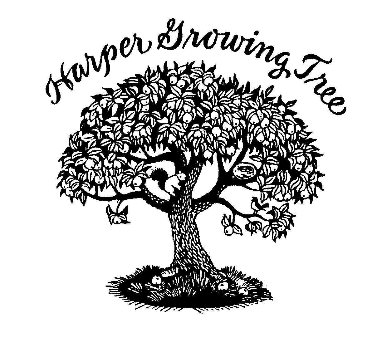  HARPER GROWING TREE