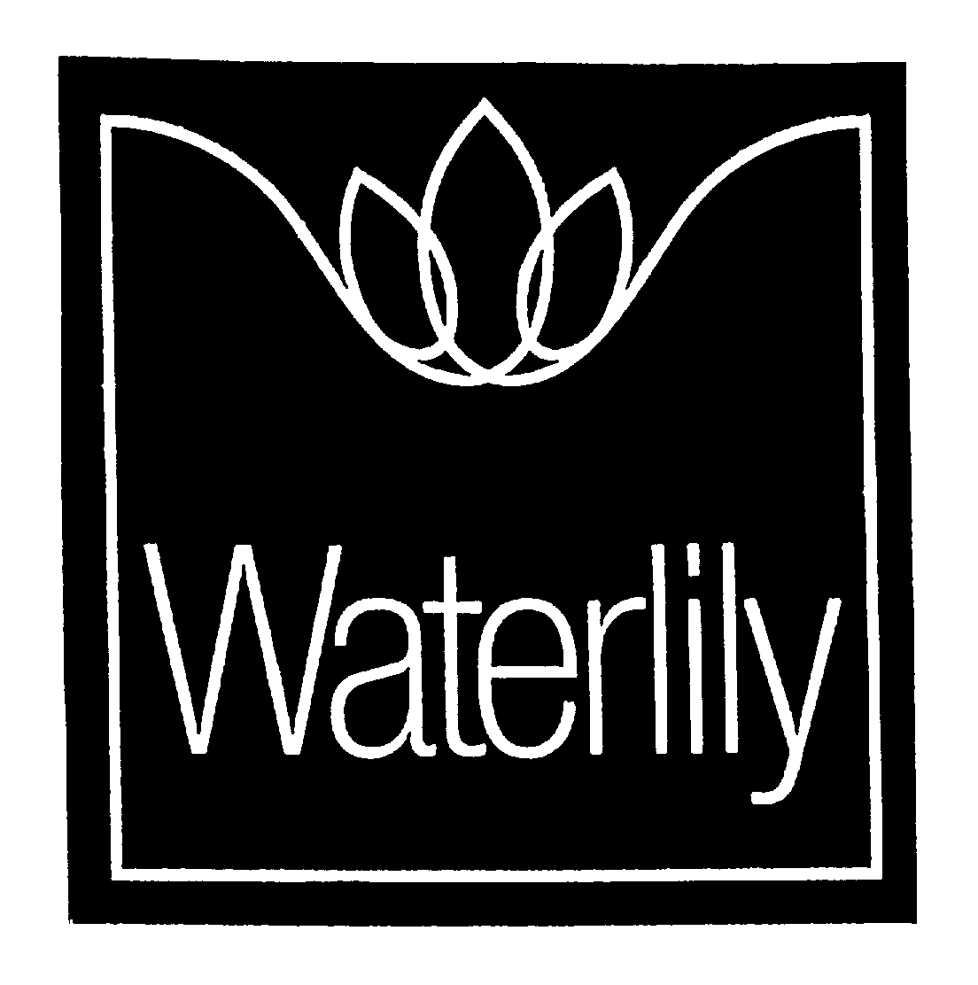  WATERLILY