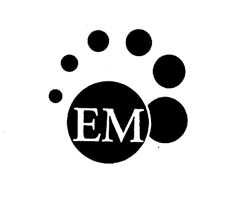  EM