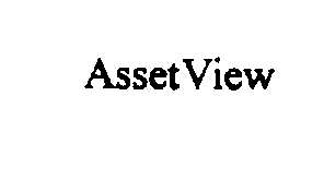 ASSETVIEW