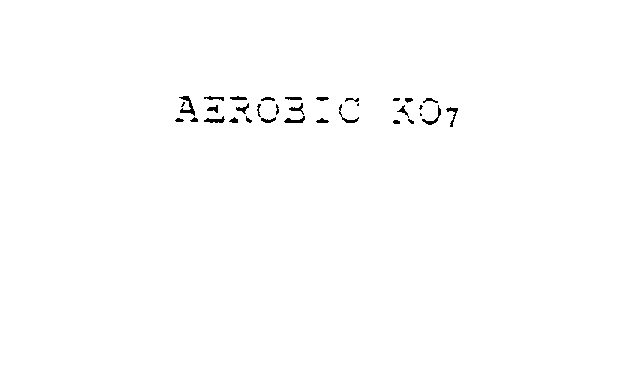  AEROBIC KO7