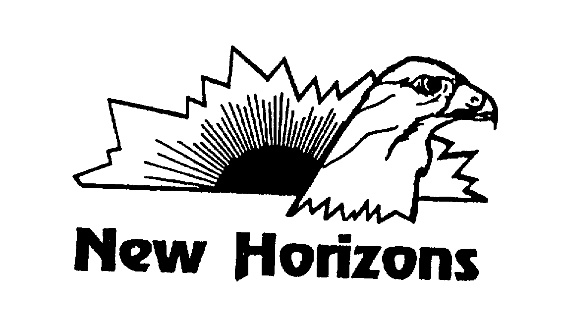  NEW HORIZONS