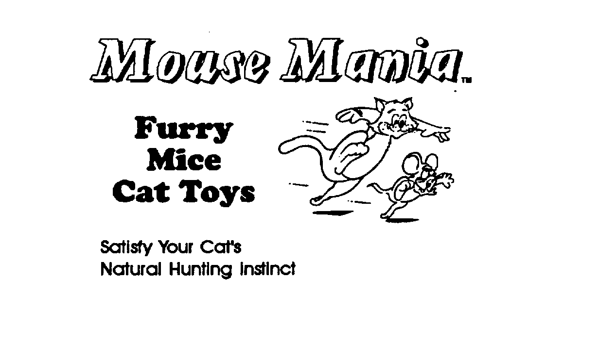  MOUSE MANIA SATISFY YOUR CAT'S NATURAL HUNTING INSTINCT