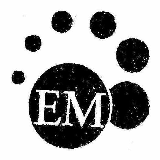 Trademark Logo EM