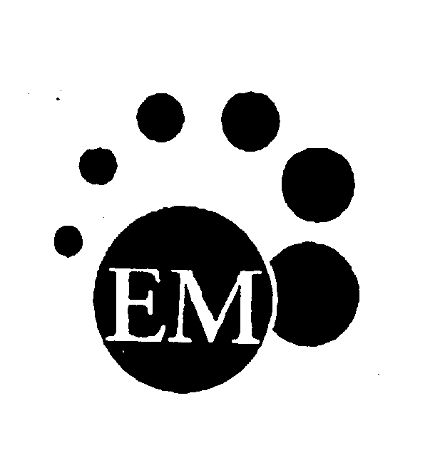  EM