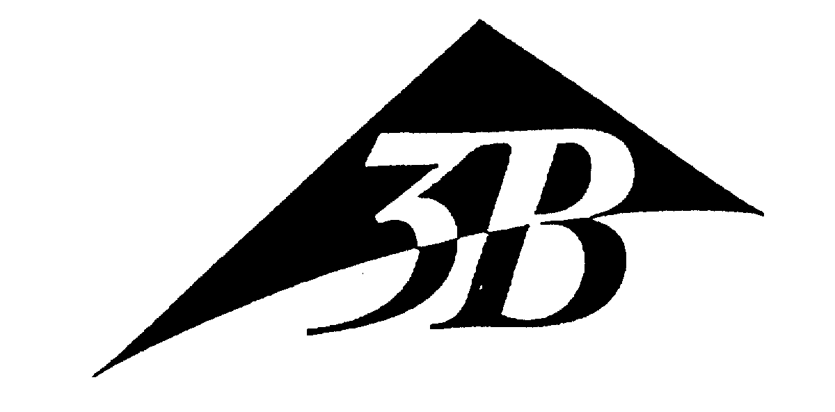 Trademark Logo 3B