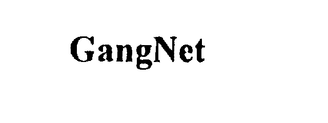  GANGNET