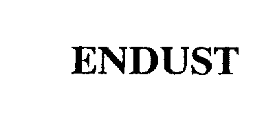  ENDUST