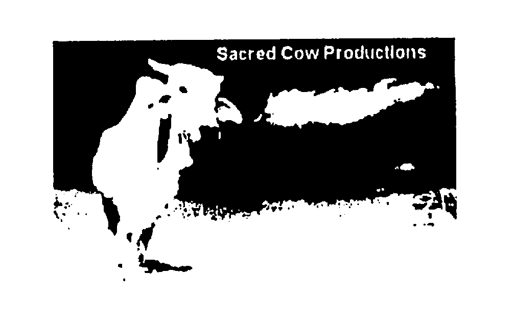  SACRED COW PRODUCTIONS