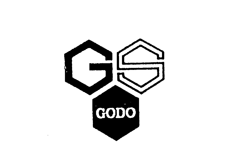  GS GODO