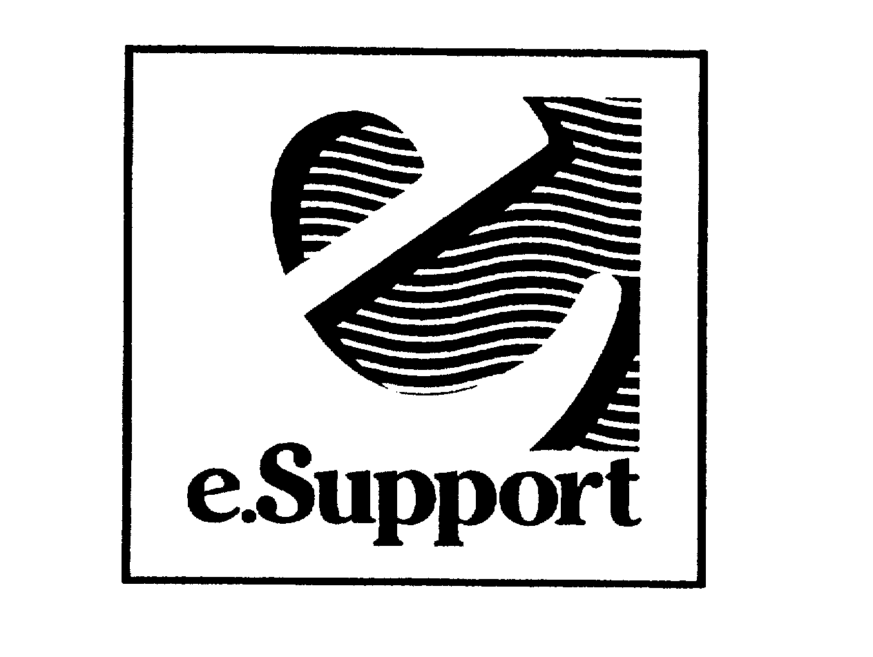  E.SUPPORT