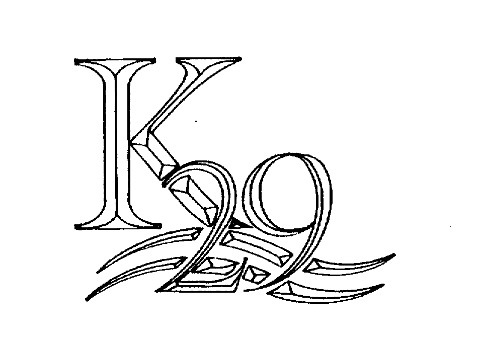  K29