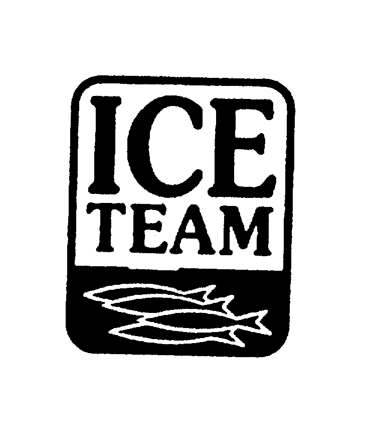  ICE TEAM