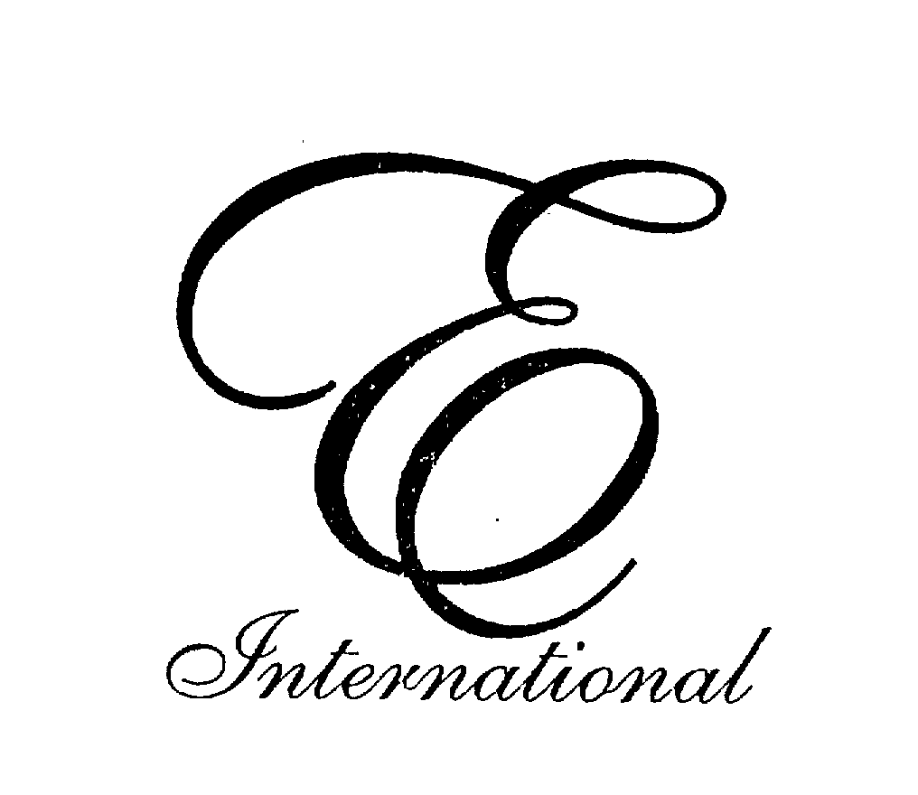  E INTERNATIONAL