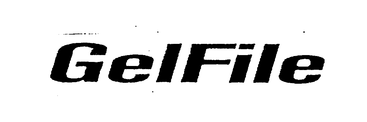  GELFILE