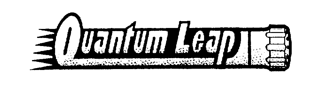 Trademark Logo QUANTUM LEAP