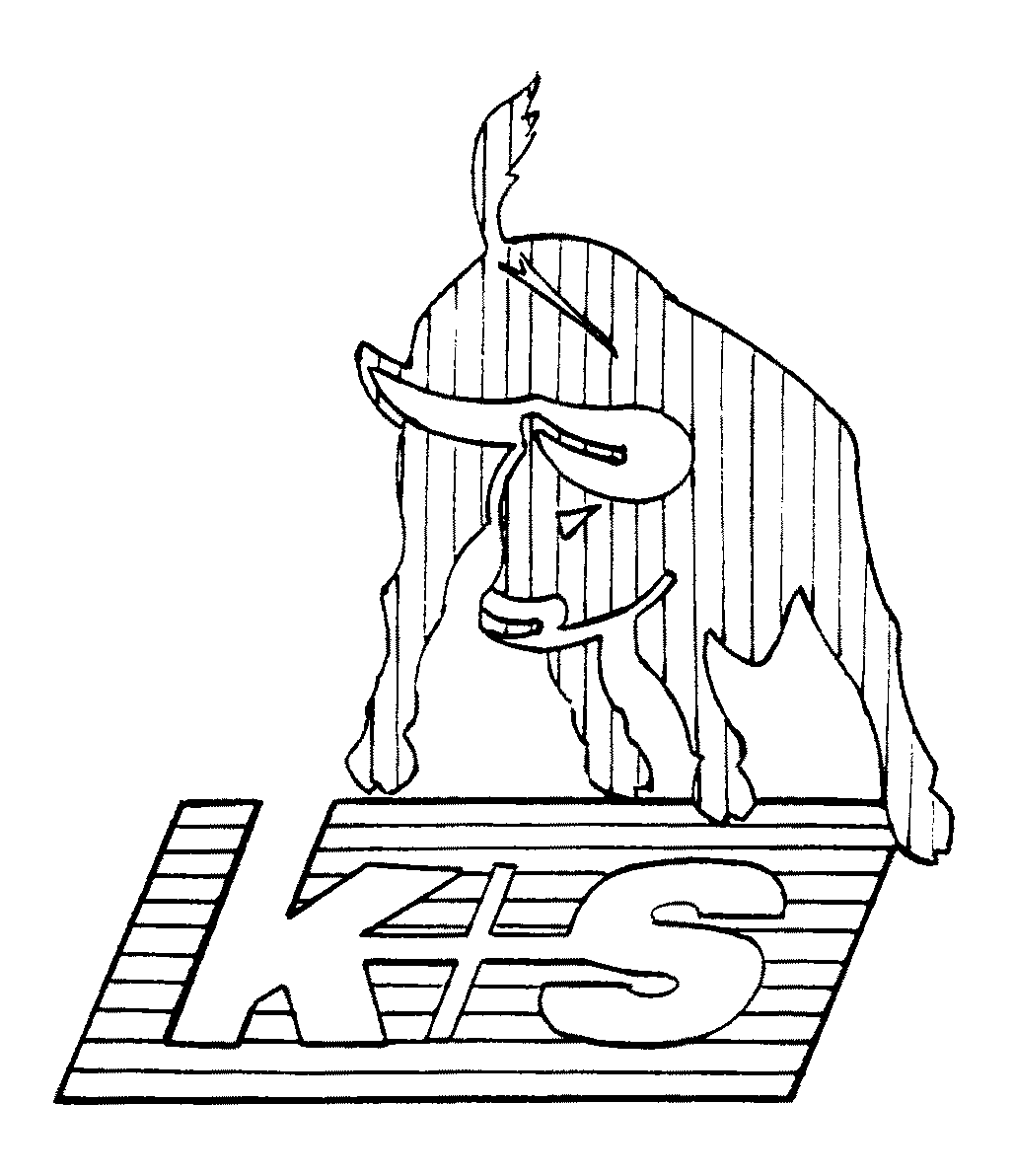 Trademark Logo K + S