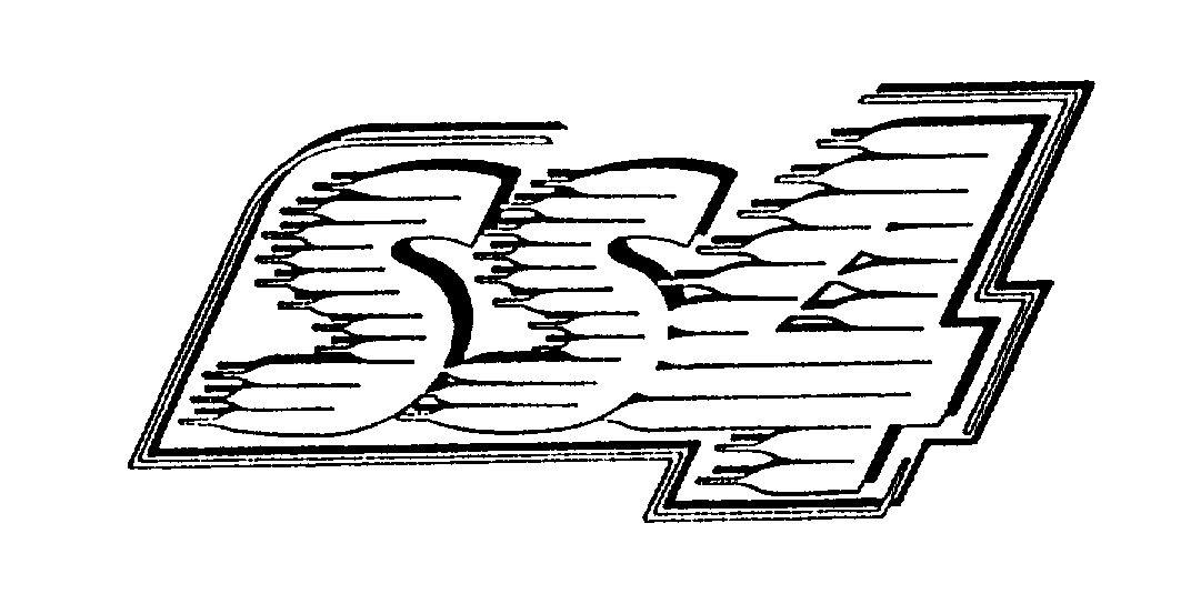 Trademark Logo SS4