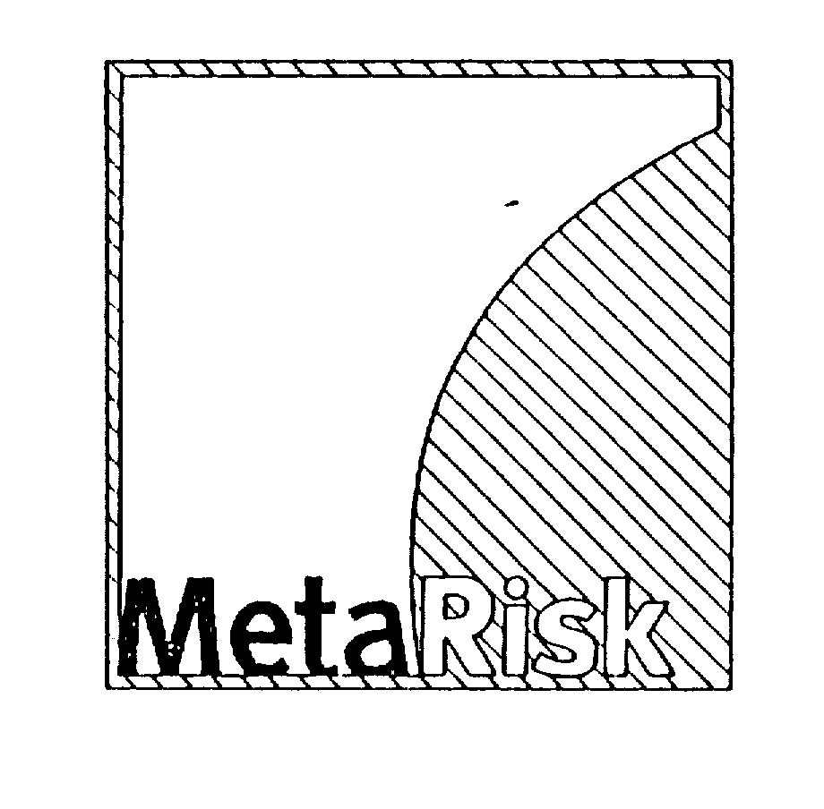 Trademark Logo METARISK