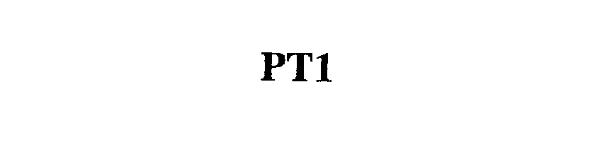 Trademark Logo PT1