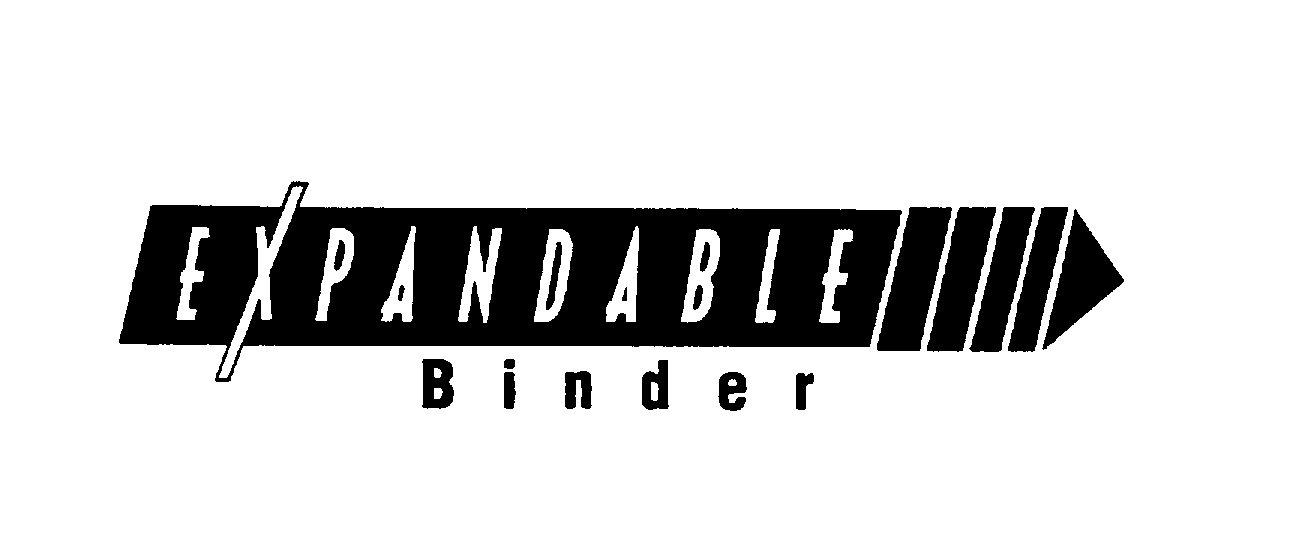  EXPANDABLE BINDER