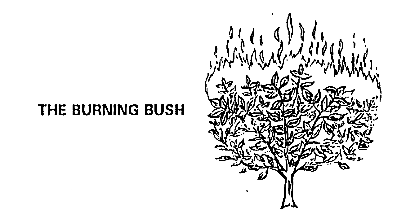 THE BURNING BUSH