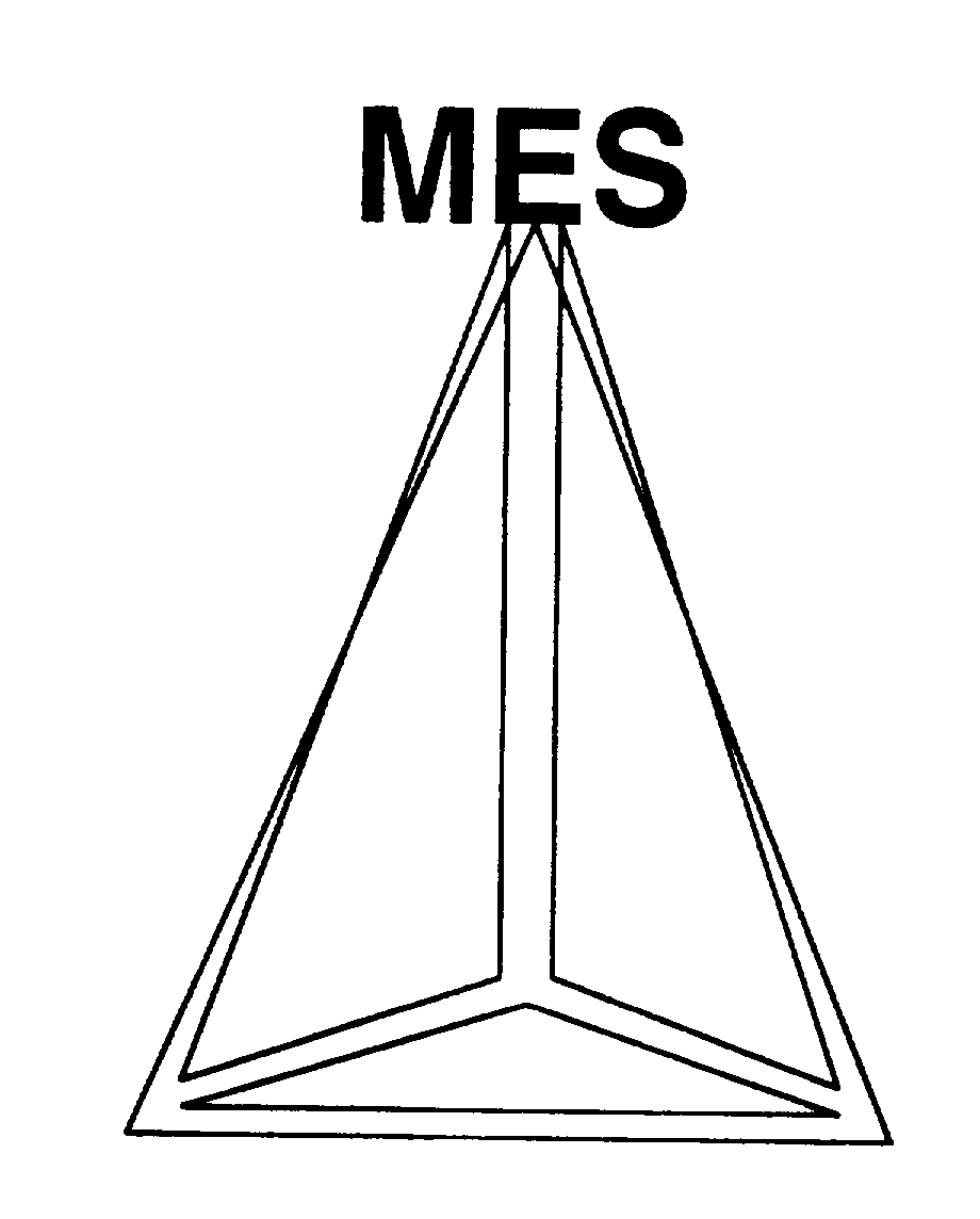 Trademark Logo MES