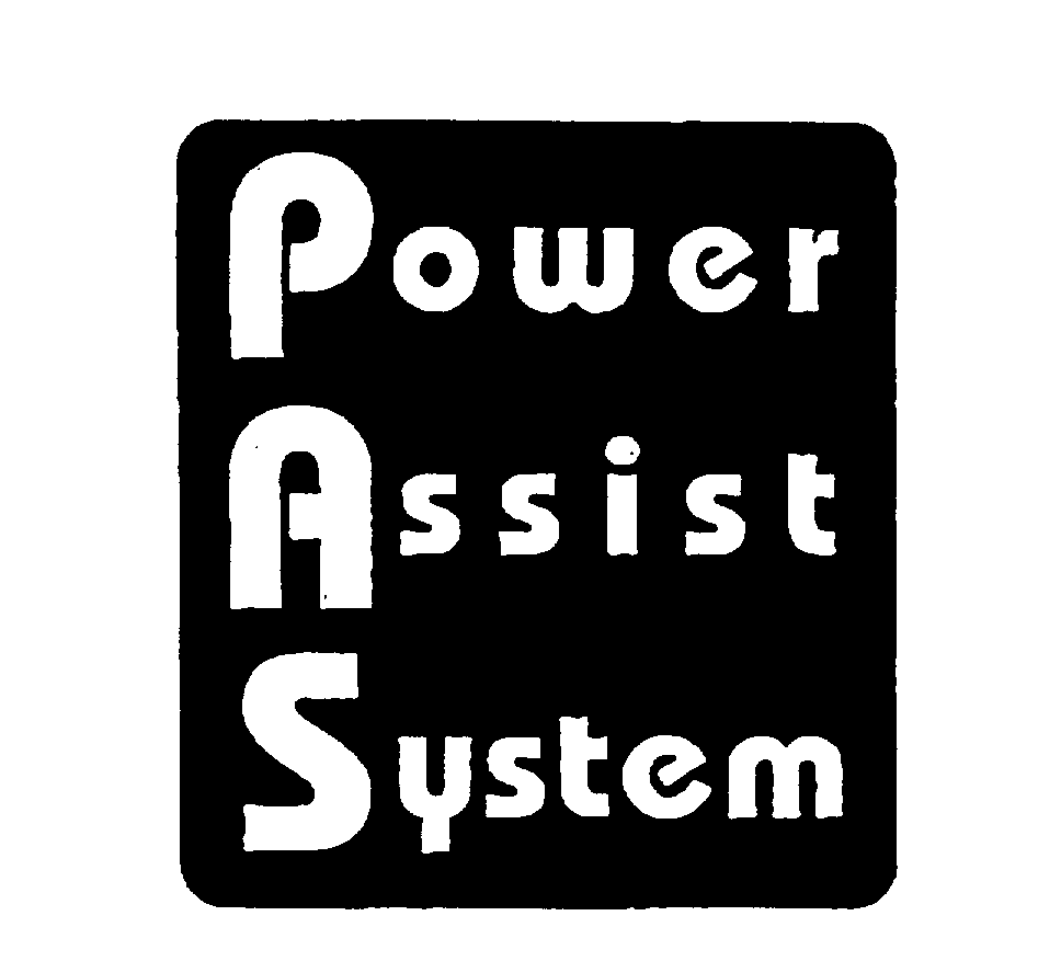  POWER ASSIST SYSTEM