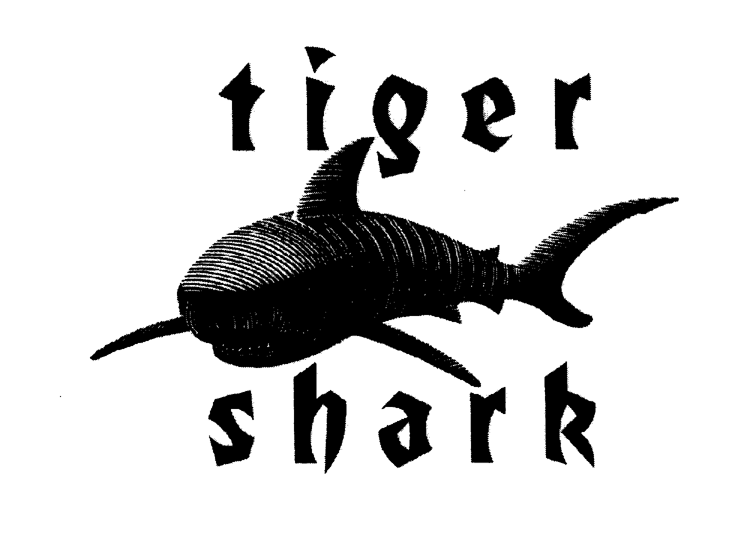 Trademark Logo TIGER SHARK