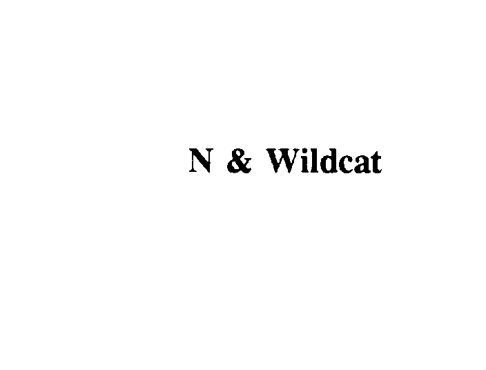 Trademark Logo N & WILDCAT
