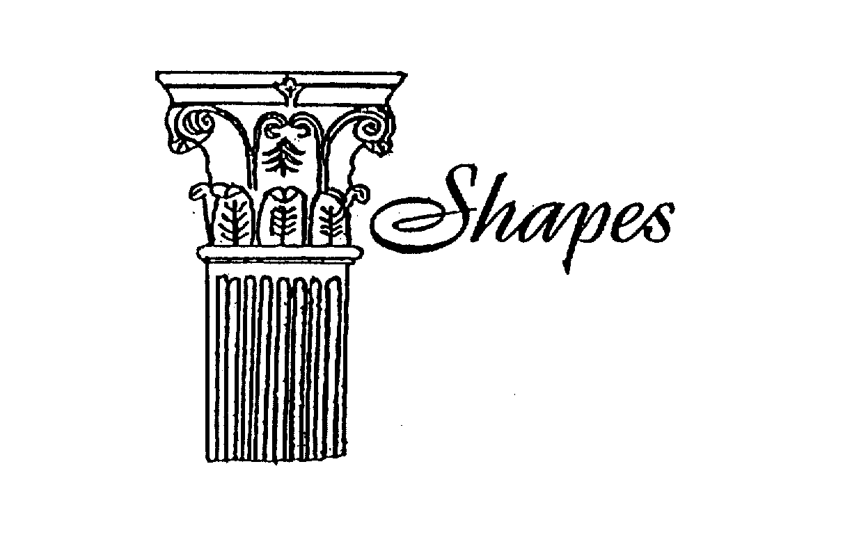 Trademark Logo SHAPES