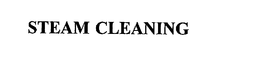  STEAM CLEANING