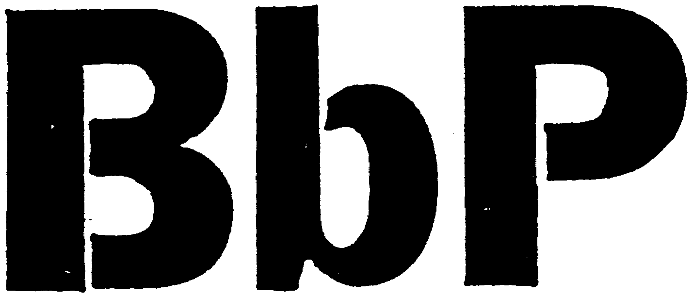 Trademark Logo BBP